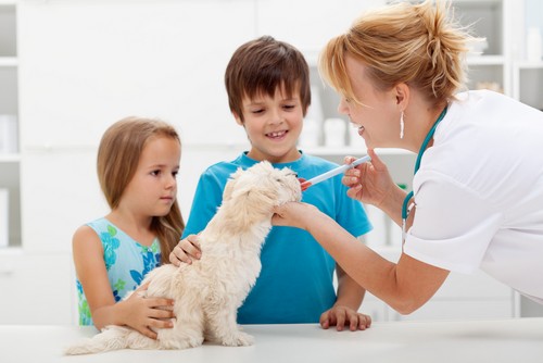 Vaccinations Albert Lea, MN